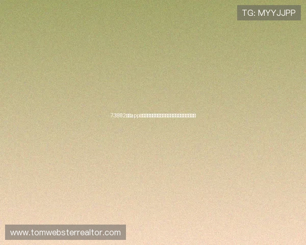 73882必赢app下载技术支持与客服服务，提供全方位的用户帮助